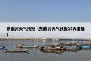 东戴河天气预报（东戴河天气预报15天准确）