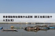 养老保险和社保有什么区别（职工社保三险个人怎么交）