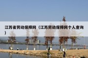 江苏省劳动保障网（江苏劳动保障网个人查询）