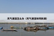 天气潮湿怎么办（天气潮湿如何防潮）