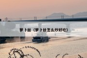 萝卜丝（萝卜丝怎么炒好吃）