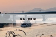 鳌鱼（鳌鱼沟）