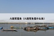 八路军是鱼（八路军鱼是什么鱼）
