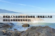 黄梅县人力资源和社会保障局（黄梅县人力资源和社会保障局领导班子）
