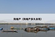 狗难产（狗难产多久会死）