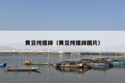 黄豆炖猪蹄（黄豆炖猪蹄图片）