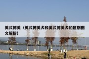 英式博美（英式博美犬和美式博美犬的区别图文解析）