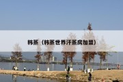 韩蒸（韩蒸世界汗蒸房加盟）