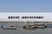 韭菜炒河虾（韭菜炒河虾高清图片）