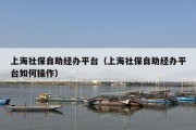 上海社保自助经办平台（上海社保自助经办平台如何操作）