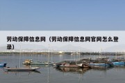 劳动保障信息网（劳动保障信息网官网怎么登录）