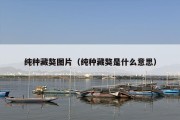 纯种藏獒图片（纯种藏獒是什么意思）