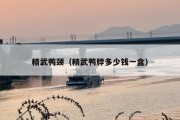 精武鸭颈（精武鸭脖多少钱一盒）