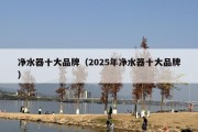 净水器十大品牌（2025年净水器十大品牌）