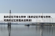 鱼的记忆只有七秒钟（鱼的记忆只有七秒钟,可我的记忆却是永远英语）