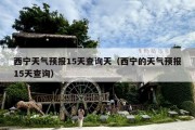 西宁天气预报15天查询天（西宁的天气预报15天查询）
