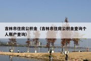 吉林市住房公积金（吉林市住房公积金查询个人账户查询）