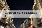 dnf宠物交易（DNF宠物交易邮寄BUG）