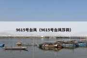 9615号台风（9615号台风莎莉）