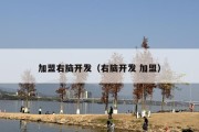 加盟右脑开发（右脑开发 加盟）