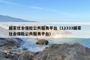 国家社会保险公共服务平台（12333国家社会保险公共服务平台）