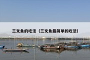 三文鱼的吃法（三文鱼最简单的吃法）