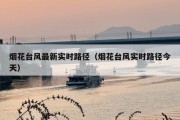 烟花台风最新实时路径（烟花台风实时路径今天）