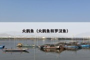 火鹤鱼（火鹤鱼和罗汉鱼）