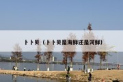 卜卜贝（卜卜贝是海鲜还是河鲜）