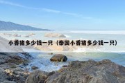 小香猪多少钱一只（泰国小香猪多少钱一只）