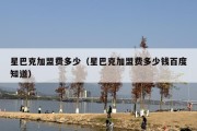 星巴克加盟费多少（星巴克加盟费多少钱百度知道）