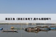 清洁工鱼（清洁工鱼死了,是什么原因呢?）