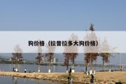 狗价格（拉普拉多大狗价格）