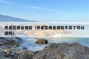养老型商业保险（养老型商业保险不买了可以退吗）