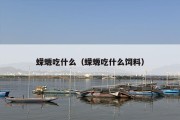 蝾螈吃什么（蝾螈吃什么饲料）