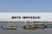 猫咪干洗（猫咪干洗怎么洗）