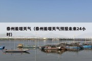 泰州姜堰天气（泰州姜堰天气预报未来24小时）
