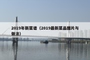 2019年新菜谱（2019最新菜品图片与做法）