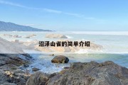 沼泽山雀的简单介绍