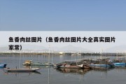 鱼香肉丝图片（鱼香肉丝图片大全真实图片 家常）