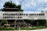 北京社会保险网上服务平台（北京社会保险网上服务平台个人查询）