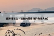 猪脚炖花生（猪脚炖花生汤的做法大全）