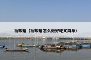 袖珍菇（袖珍菇怎么做好吃又简单）