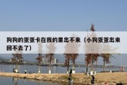 狗狗的蛋蛋卡在我的里出不来（小狗蛋蛋出来回不去了）