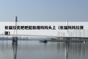 熊猫拉完粑粑屁股蹭妈妈头上（熊猫妈妈拉便便）