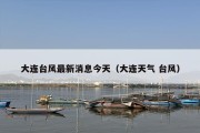 大连台风最新消息今天（大连天气 台风）