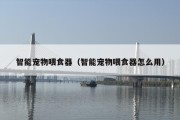 智能宠物喂食器（智能宠物喂食器怎么用）