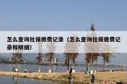 怎么查询社保缴费记录（怎么查询社保缴费记录和明细）