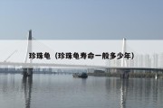 珍珠龟（珍珠龟寿命一般多少年）