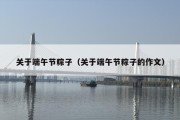 关于端午节粽子（关于端午节粽子的作文）